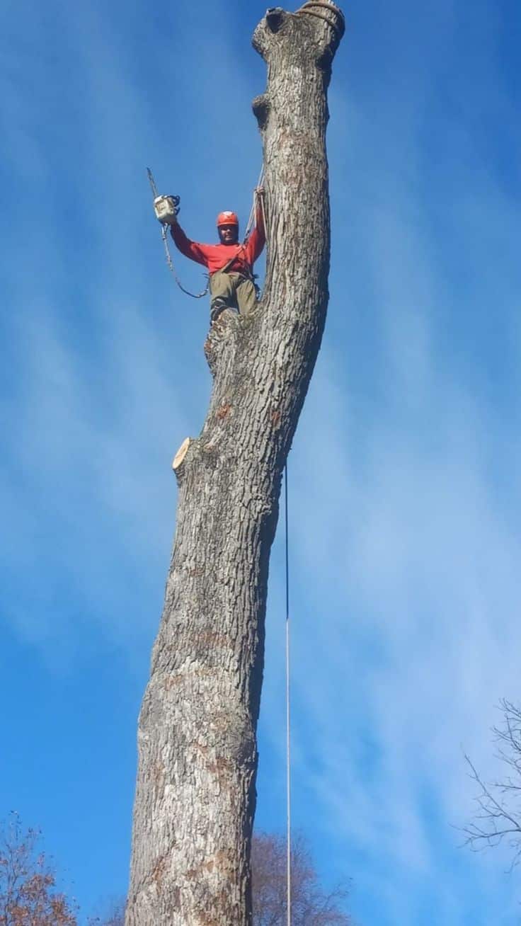 Tree Top Flyer crew — Columbia, SC